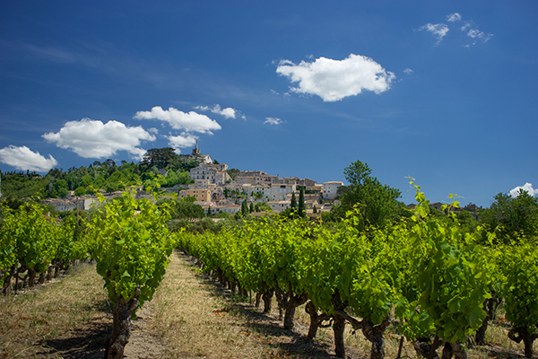 resized for blogDSC02510