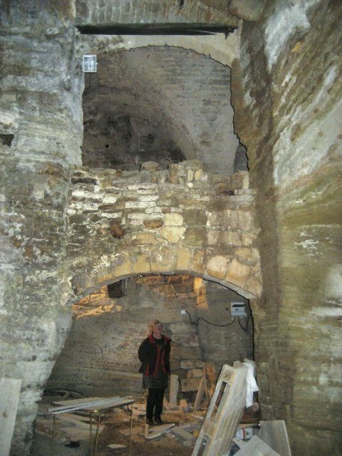 Joanna surveys cave renovation.jpg